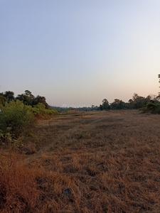 Sarde Plot View 1