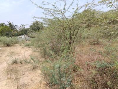 Residential Plot