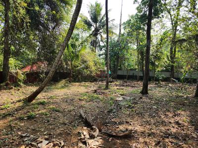 Image of 26133 Sq.ft Residential Plot / Land for sale in Poovanthuruthu, Kottayam for Rs. 24000000