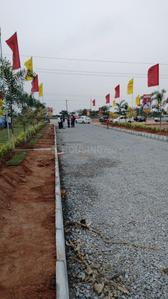 Raghavendra Colony Plot View 2