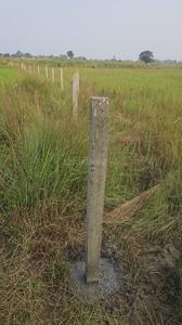 Image of 5000 Sq.ft Residential Plot / Land for sale in Bagbera, Jamshedpur for Rs. 850000