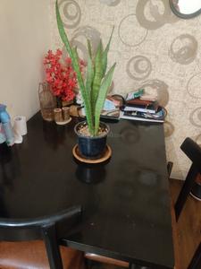 Bedroom Image of 650 Sq.ft 1 BHK Apartment / Flat for sale in The Landmark, Undri Pune for Rs. 3800000