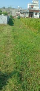Image of 3525 Sq.ft Residential Plot / Land for sale in Hari Bagh Colony, Panipat for Rs. 2200000