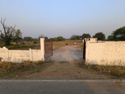 Residential Plot