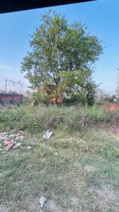 Image of 1536 Sq.ft Residential Plot / Land for sale in Sector 8, Ambala for Rs. 11800000