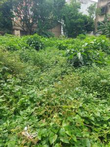 Image of 3600 Sq.ft Residential Plot / Land for sale in Madurdaha, Kolkata for Rs. 17000000
