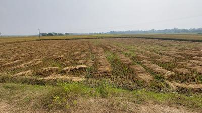 Image of 4356 Sq.ft Residential Plot / Land for sale in Amadalavalasa, Srikakulam for Rs. 2600000
