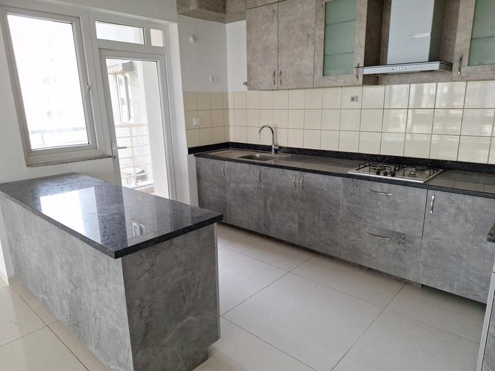 Alembic Urban Forest Main Image 1