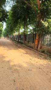 Image of 1500 Sq.ft 3 BHK Farm House for sale in Dkrrish Green Beauty Farms, Sector 135, Noida for Rs. 8500000