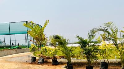 Image of 4356 Sq.ft Residential Plot / Land for sale in Shankarpally, Hyderabad for Rs. 5800000