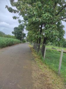 Desur Plot View 2