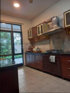 Kitchen Image of 4200 Sq.ft 4 BHK Villa for sale in Sector 50 Gurgaon for Rs. 170000000