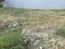 Sushant Lok Phase 3, Sector 57 Main Image 1