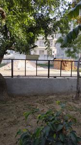 Sector 60 Plot View 2