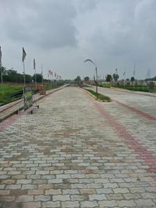 Ral Plot View 2