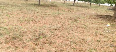 Lankela Palem Plot View 2