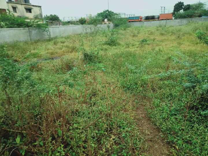 Daund Main Image 1