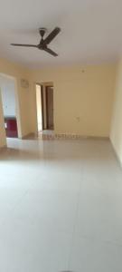 Hall Image of 1130 Sq.ft 2 BHK Apartment / Flat for sale in Pillars Regency, Ulwe Navi Mumbai for Rs. 11500000