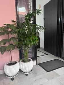 Balcony Image of 1000 Sq.ft 2.5 BHK Builder Floor for rent in Swaraj Homes RWA Sant Nagar, Sant Nagar New Delhi for Rs. 42000