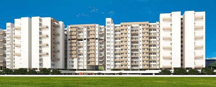 Jhamtani Ace Aster Main Image 1