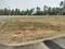 Pannimadai Plot View 2