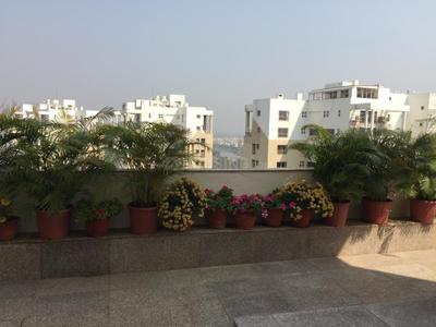 Balcony Image of 6505 Sq.ft 5 BHK Duplex for sale in Ambuja Upohar Luxury Gold, Pancha Sayar Kolkata for Rs. 65000000