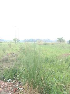 Image of 720 Sq.ft Residential Plot / Land for sale in Fresco Fountain City Plots, Sankharipota, Raypur for Rs. 270000