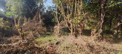 Image of 2450 Sq.ft Residential Plot / Land for sale in Colvale, Goa for Rs. 61300000