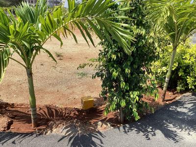 Image of 1600 Sq.ft Residential Plot / Land for sale in Kovilpalayam, Coimbatore for Rs. 4036000