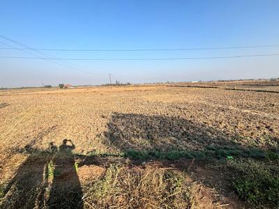Sarde Plot View 1