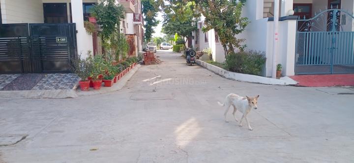 Transport Nagar Main Image 1