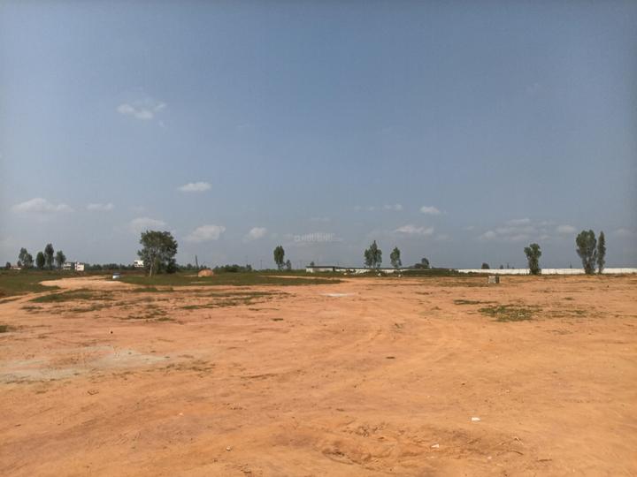 prestige Autumn Leaves Main Image 1