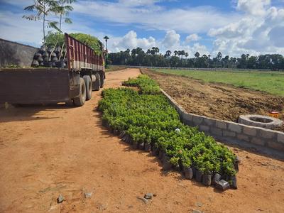 Image of 183 Sq.ft Residential Plot / Land for sale in Bhogapuram, Vizianagaram for Rs. 2933000