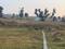 Badshahi Bagh Plot View 2