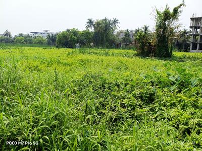 Image of 1440 Sq.ft Residential Plot / Land for sale in Kaikhali, Kolkata for Rs. 6500000
