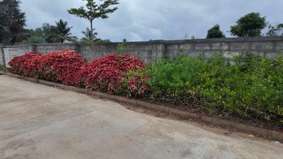 Image of 1300 Sq.ft Residential Plot / Land for sale in Nekkundi Dommasandra, Bengaluru for Rs. 10790000