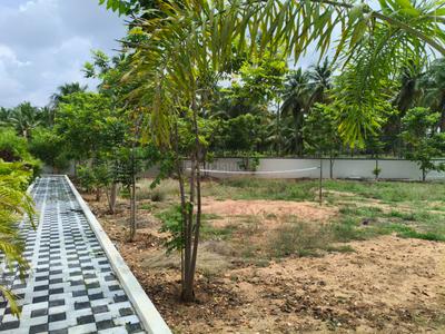 Image of 1638 Sq.ft Residential Plot / Land for sale in Kariampalayam, Coimbatore for Rs. 2311000