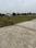 Sector 20 Plot View 2
