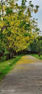 Image of 1580 Sq.ft 3 BHK Apartment / Flat for sale in Uttorayon Township, Siliguri for Rs. 16500000
