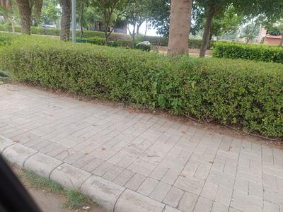 Image of 2961 Sq.ft Residential Plot / Land for sale in Omaxe Phase 3 Mullanpur, New Chandigarh, Chandigarh for Rs. 46060000