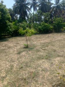 Kuvathur Plot View 2