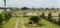 Kempegowdanagar, Byadarahalli Main Image 1