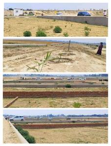 Image of 1000 Sq.ft Residential Plot / Land for sale in Maniram, Gorakhpur for Rs. 651000