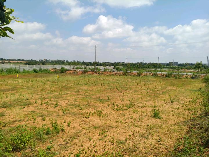 MS Developers Main Image 1