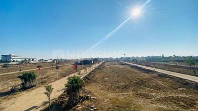 Akali Market Plot View 2