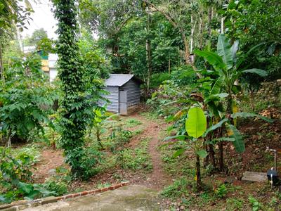 Image of 3593 Sq.ft Residential Plot / Land for sale in Peyad, Thiruvananthapuram for Rs. 5500000