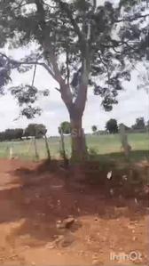 Image of 53240 Sq.ft Residential Plot / Land for sale in Aroodi, Bengaluru for Rs. 120000000