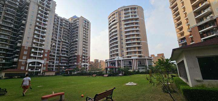Ambika Florence Park Main Image 1