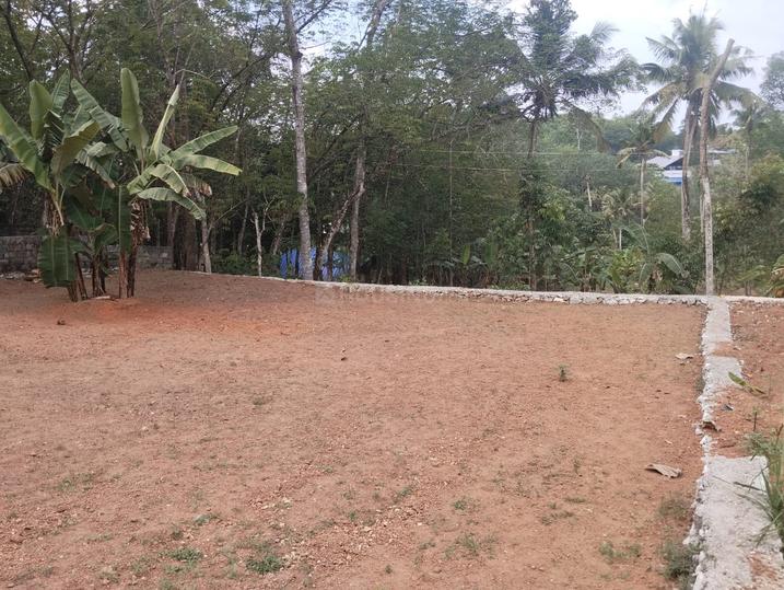 Koliyakode Main Image 1