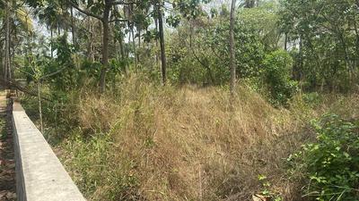 Velappaya, Killannur Plot View 3